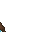 10119