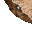 10164