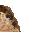 10166