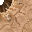 10169