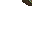 10501