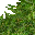 1062
