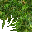 1064