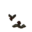 10807