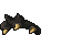 11383