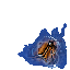 11525