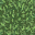 11718