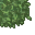 11729