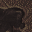 11944