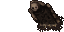 11969