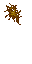 12067