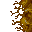 12084