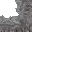 12169