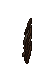 12629