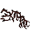 12907
