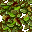 13767