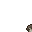 15036