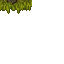 15454