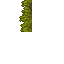 15457