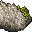 15509