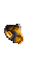 15531