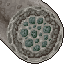 15548