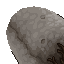 15551