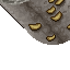 15556