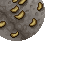 15561