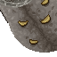 15562