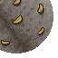 15563