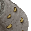 15564