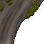 15569