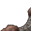 15570
