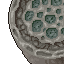 15579
