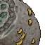 15581
