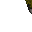 15631