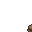 15655
