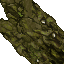 16842