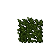 17151