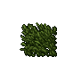 17152