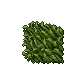 17153