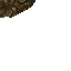 17295