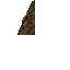 17296