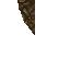 17298