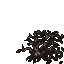 19119