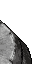 1944