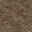 19556