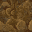 19561