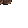 20293
